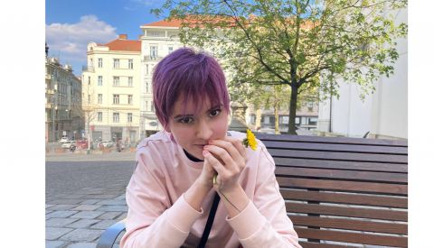 Socionika